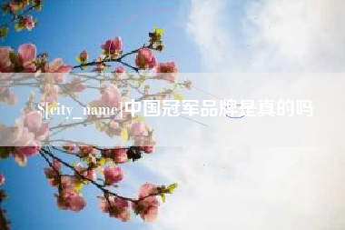 临沂中国冠军品牌是真的吗