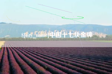 临沂中国十七块金牌
