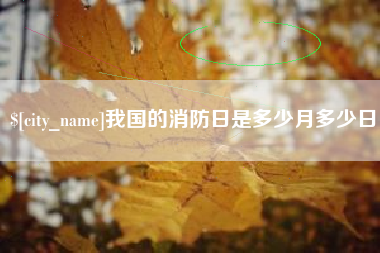 临沂我国的消防日是多少月多少日