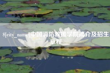 临沂中国消防救援学院简介及招生章程