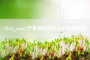 临沂宁夏消防报名入口官网公告