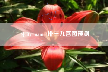 临沂排三九宫图预测