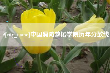 临沂中国消防救援学院历年分数线
