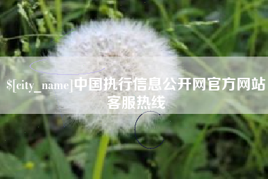 临沂中国执行信息公开网官方网站客服热线