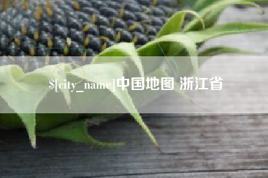临沂中国地图 浙江省