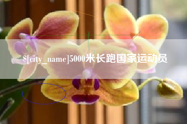 临沂5000米长跑国家运动员
