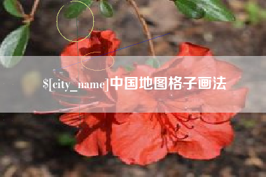 临沂中国地图格子画法