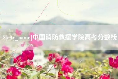 临沂中国消防救援学院高考分数线