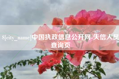 临沂中国执政信息公开网-失信人员查询页