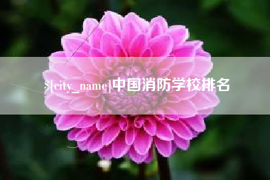 临沂中国消防学校排名