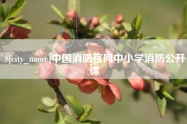 临沂中国消防官网中小学消防公开课