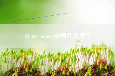 临沂中国几金牌了