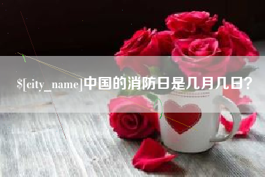 临沂中国的消防日是几月几日？