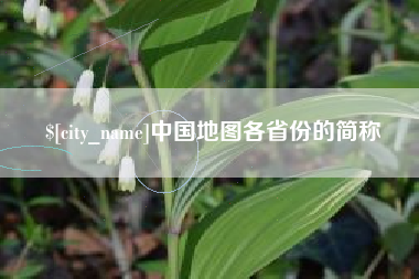 临沂中国地图各省份的简称