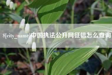 临沂中国执法公开网征信怎么查询