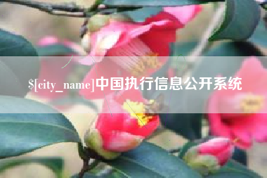 临沂中国执行信息公开系统