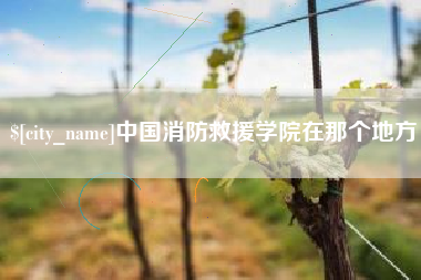 临沂中国消防救援学院在那个地方