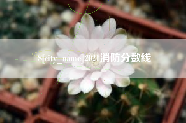 临沂2021消防分数线