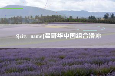 临沂温哥华中国组合滑冰