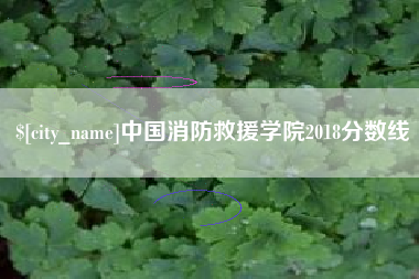 临沂中国消防救援学院2018分数线