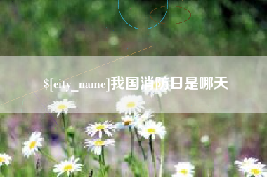 临沂我国消防日是哪天