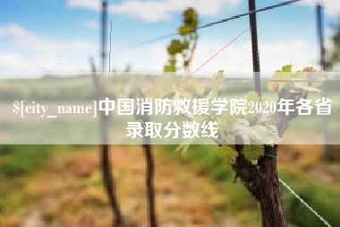 临沂中国消防救援学院2020年各省录取分数线