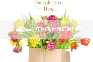临沂中国执行网信息官网