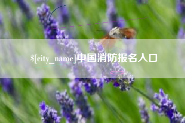 临沂中国消防报名入口