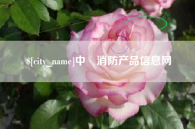 临沂中囯消防产品信息网