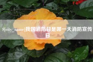 临沂我国消防日是哪一天消防宣传日