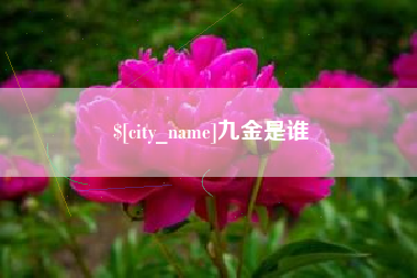 临沂九金是谁