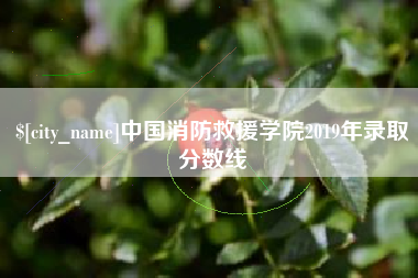 临沂中国消防救援学院2019年录取分数线
