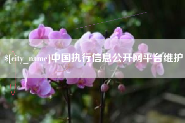 临沂中国执行信息公开网平台维护