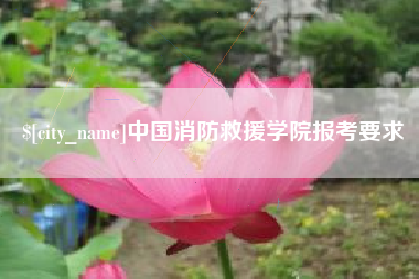 临沂中国消防救援学院报考要求