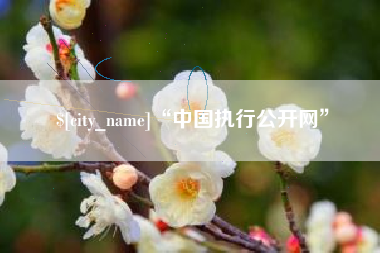 临沂“中国执行公开网”