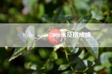 临沂5000米及格成绩
