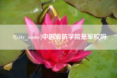 临沂中国消防学院是军校吗