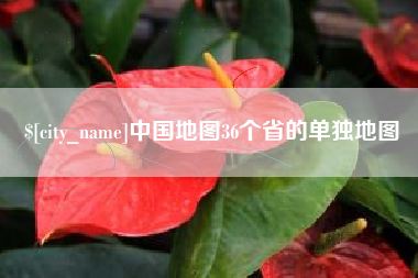 临沂中国地图36个省的单独地图