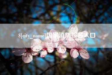 临沂国家消防报名入口