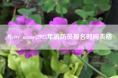 临沂2025年消防员报名时间表格