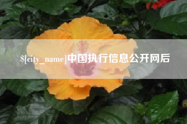 临沂中国执行信息公开网后