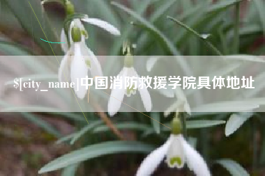 临沂中国消防救援学院具体地址