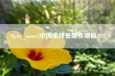 临沂中国金牌是哪些项目2021