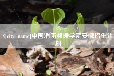 临沂中国消防救援学院安徽招生计划