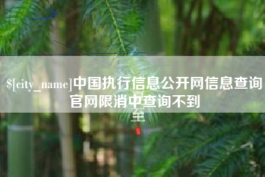 临沂中国执行信息公开网信息查询官网限消中查询不到