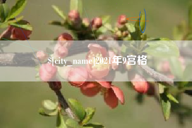 临沂2021年9宫格