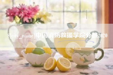 临沂中国消防救援学院分数2020