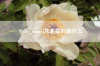 临沂九金指的是什么