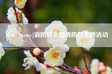 临沂消防日全国消防日主题活动