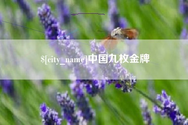 临沂中国九枚金牌